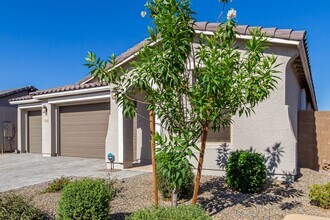 25645 S 225th Pl in Queen Creek, AZ - Building Photo - Building Photo