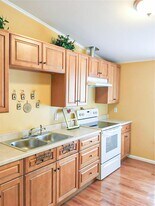 3118 Trail Loop S in Rosharon, TX - Building Photo