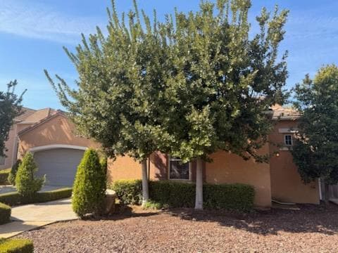 3032 Hanson Ave in Clovis, CA - Building Photo - Building Photo