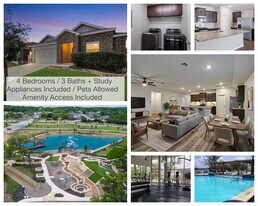 31681 Nimbus Dr in Bulverde, TX - Building Photo