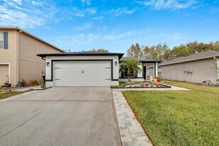 13731 Tramore Dr in Odessa, FL - Building Photo