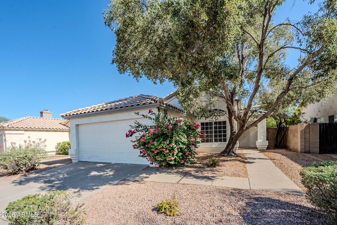 1312 W Park Ave in Chandler, AZ - Building Photo