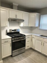 9910 Stepney Green Dr in Houston, TX - Building Photo - Building Photo