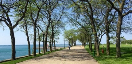 Commonwealth on the Park Apartments in Chicago, IL - Foto de edificio - Building Photo