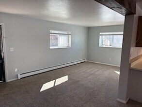 2457 S Lincoln St, Unit 2457 S. Lincoln Street in Denver, CO - Foto de edificio - Building Photo