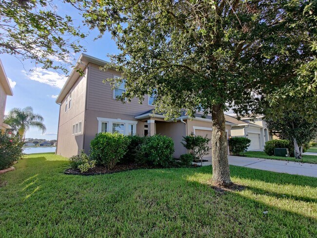 7801 Seafield Ln in Wesley Chapel, FL - Building Photo - Building Photo