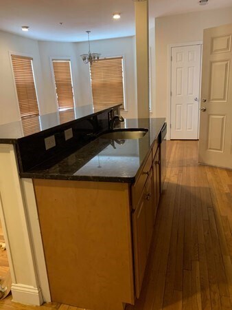 14 Homer St, Unit 1 in Brookline, MA - Building Photo - Building Photo