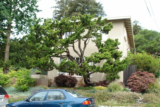 2639 Cedar St in Berkeley, CA - Building Photo - Building Photo