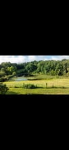 113 State Park Rd in Brumley, MO - Building Photo - Building Photo