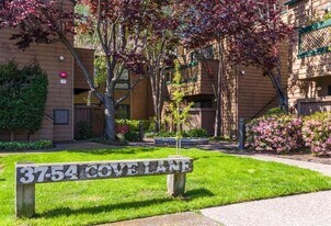 46 Cove Ln in Redwood City, CA - Building Photo