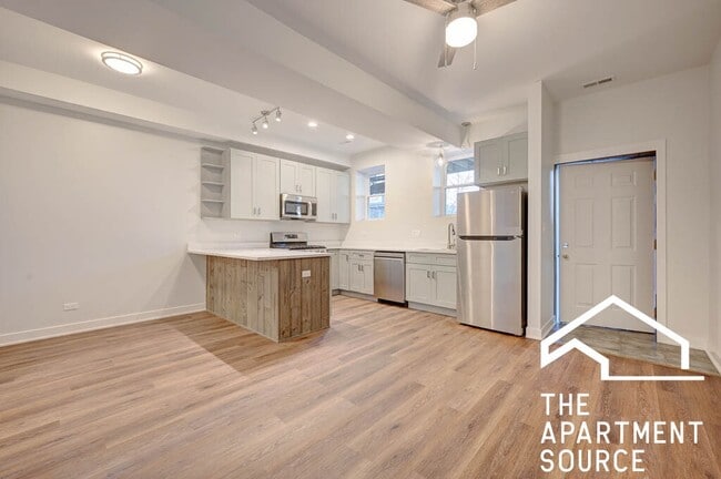 1142 W 17th Pl in Chicago, IL - Building Photo - Building Photo