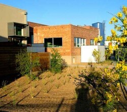 1001 E 17th St in Tucson, AZ - Building Photo - Building Photo