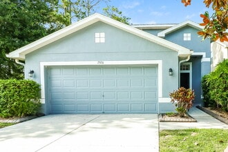 7926 Citrus Blossom Dr in Land O Lakes, FL - Foto de edificio - Building Photo