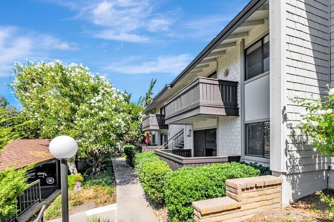 1411 Marchbanks Dr in Walnut Creek, CA - Building Photo - Building Photo