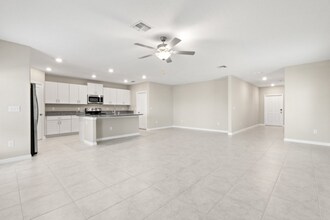 31603 Barrel Wave Way in Zephyrhills, FL - Building Photo - Building Photo