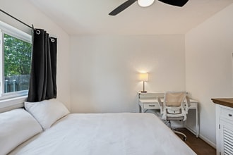 804 Sylvia Ln in Pflugerville, TX - Foto de edificio - Building Photo