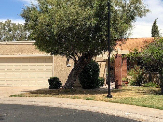 274 Leisure World in Mesa, AZ - Foto de edificio - Building Photo