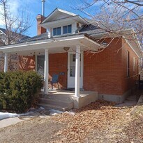 233 S Franklin St in Denver, CO - Building Photo