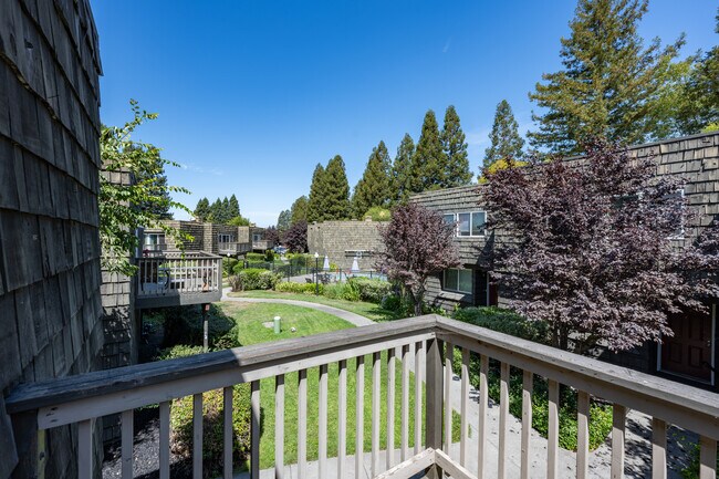 Cedarwood Apartments in Santa Rosa, CA - Building Photo - Building Photo