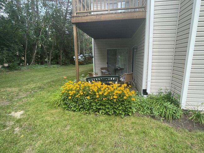 455 58th Pl in Hinsdale, IL - Building Photo - Building Photo
