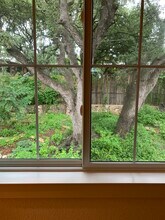 509 E Live Oak St, Unit Owl's Nest in Austin, TX - Building Photo - Building Photo