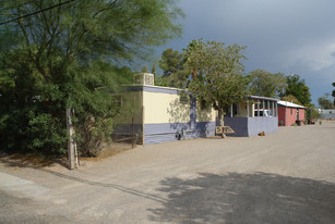 843 W Thurber Rd in Tucson, AZ - Building Photo