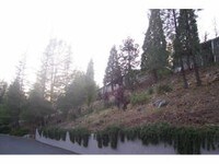 Building Photo - Berryhill Apartments in Grass Valley, California