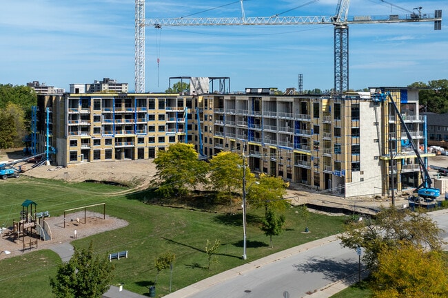 The Albright