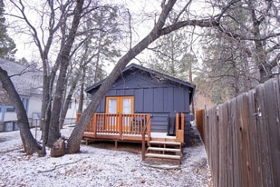 405 Holmes Ln in Big Bear, CA - Building Photo