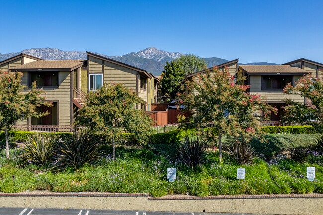 Don Miguel Apartments in Rancho Cucamonga, CA - Foto de edificio - Building Photo