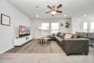 24319 Wild Bramble Ln in Katy, TX - Building Photo