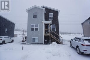 79 Tigress St in St John's, NL - Building Photo