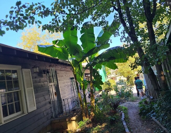 185 Nantahala Ave, Unit One and a half