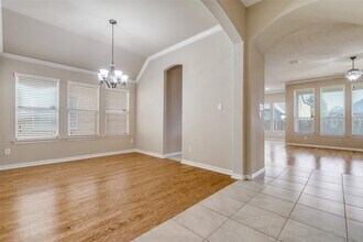 704 Thetford Ln in Plano, TX - Foto de edificio - Building Photo