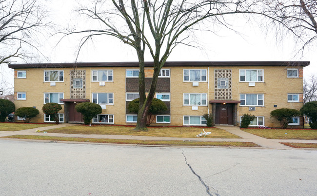 12 Unit Multi-Family Building in Addison, IL - Building Photo - Building Photo