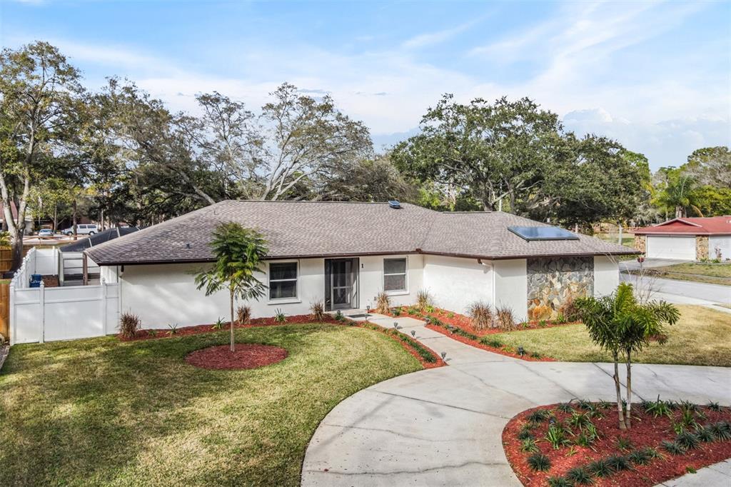 1 Fernery Ln in Safety Harbor, FL - Building Photo