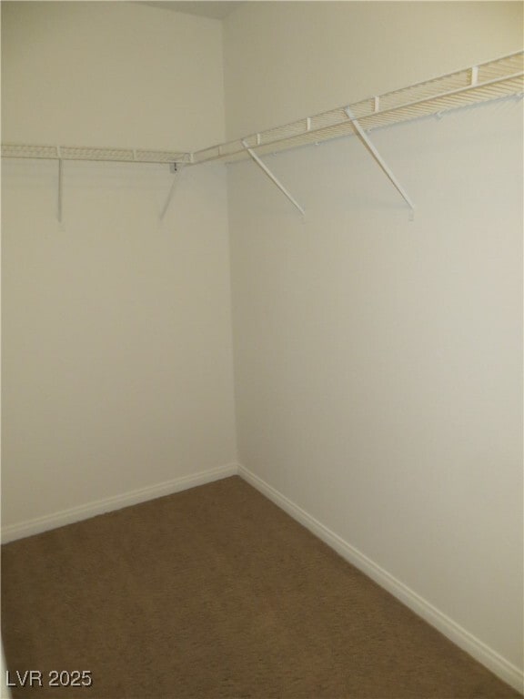 property at 6824 Bayberry Creek Ave