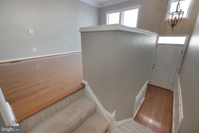 42669 New Dawn Terrace in Ashburn, VA - Building Photo - Building Photo