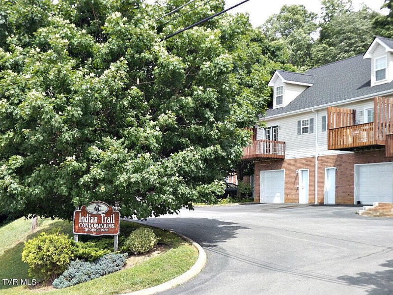 308 Car-Mol Dr in Johnson City, TN - Building Photo