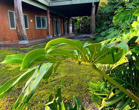73-1599 Hao St, Unit Downstairs Apartment in Kailua Kona, HI - Building Photo - Building Photo