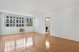 253 E Delaware Pl, Unit 5B in Chicago, IL - Building Photo - Building Photo