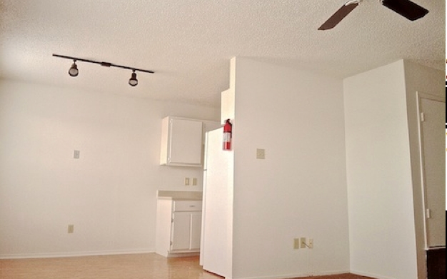 The Bush Apartments in Waco, TX - Foto de edificio - Interior Photo