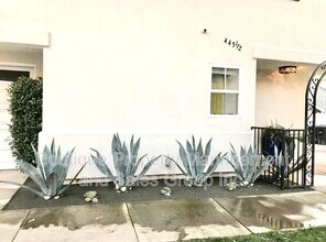 445 1/2 Begonia Ave in Newport Beach, CA - Foto de edificio - Building Photo