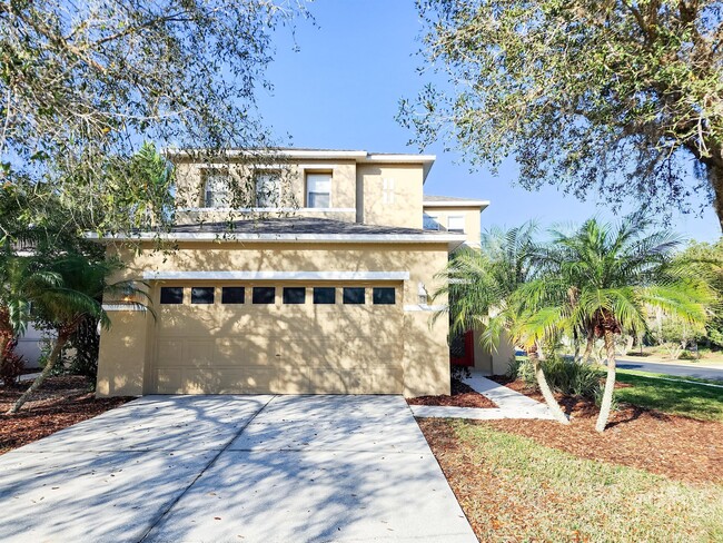 2509 Silvermoss Dr in Wesley Chapel, FL - Building Photo - Building Photo