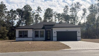 17356 SW 41st Cir in Ocala, FL - Building Photo