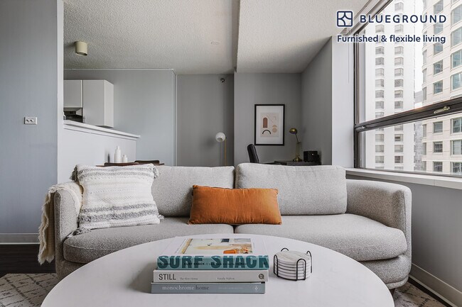 445 E Ohio St in Chicago, IL - Building Photo - Building Photo