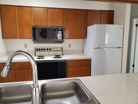 1988 Las Palmas Ln in Laughlin, NV - Building Photo