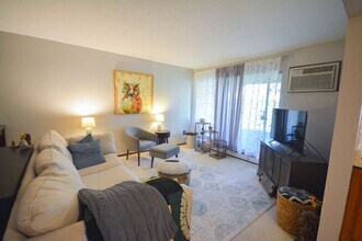 354 Elton Hills Dr NW in Rochester, MN - Building Photo - Building Photo