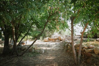 32820 Cox Rd in Menifee, CA - Building Photo - Building Photo
