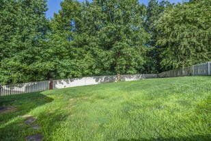 9728 Valley Woods Ln in Knoxville, TN - Building Photo - Building Photo